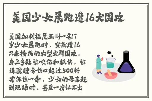 zztt黑传送门官网